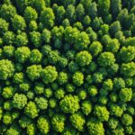 Vue aérienne d'une forêt française mêlant arbres sains et arbres dépérissants sous l'effet du changement climatique